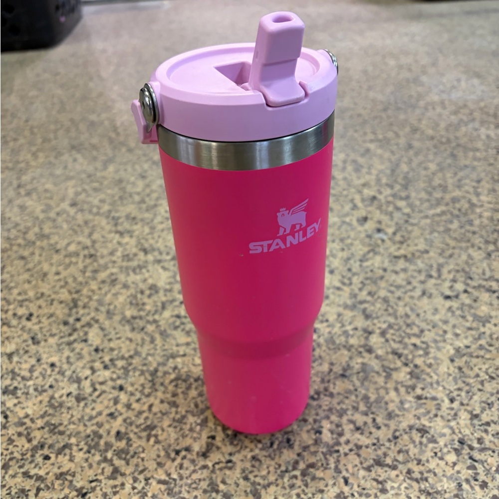 Stanley Vibrant Pink Insulated Mug